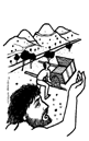 Domingo 2º Adviento